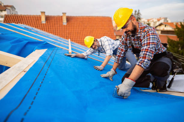 Best Metal Roofing Contractor  in Rockwood, TN
