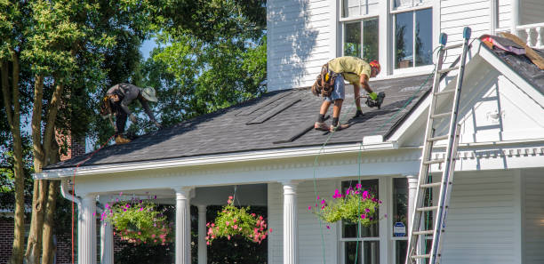 Roof Gutter Cleaning in Rockwood, TN